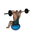 Triceps Extension - Fit Ball Reverse Barbell Close
